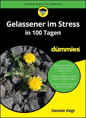 Gelassener im Stress in 100 Tagen für Dummies