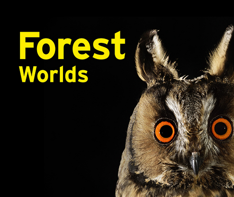 Forest Worlds - 