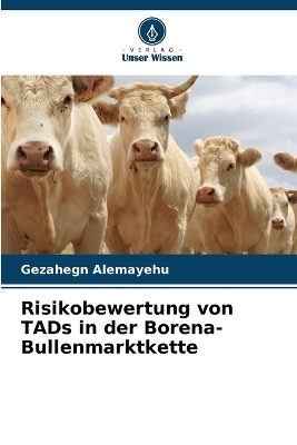 Risikobewertung von TADs in der Borena-Bullenmarktkette