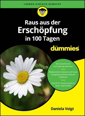 Raus aus der Erschöpfung in 100 Tagen für Dummies