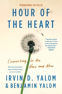 Hour of the Heart - Irvin D Yalom, Benjamin Yalom