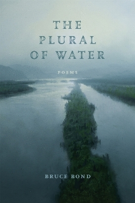 The Plural of Water - Bruce Bond