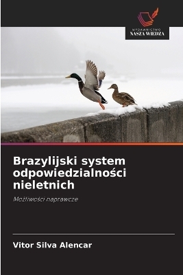 Brazylijski system odpowiedzialności nieletnich