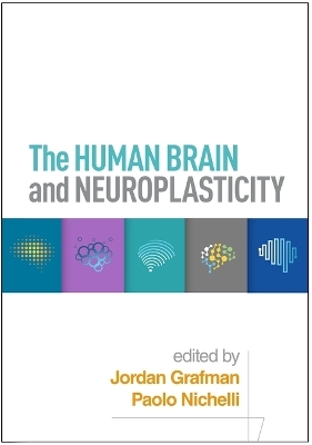 The Human Brain and Neuroplasticity - 