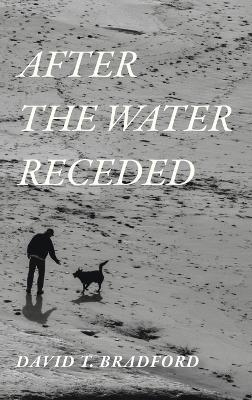 After the Water Receded - David T Bradford