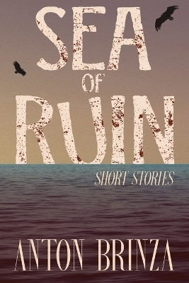 Sea of Ruin - Anton Brinza