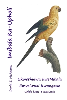 Imibala Ka-Upholi