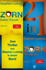 Kalter Rauch / Wie du mir &ndash; Zwei Zorn-Thriller in einem Band - Stephan Ludwig