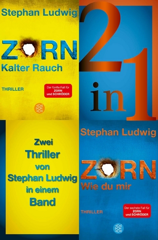 Kalter Rauch / Wie du mir – Zwei Zorn-Thriller in einem Band