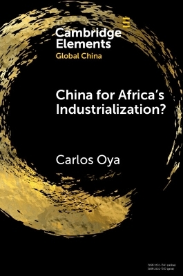 China for Africa's Industrialization? - Carlos Oya