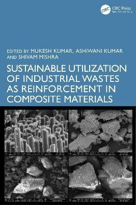 Sustainable Utilization of Industrial Wastes as Reinforcement in Composite Materials - 