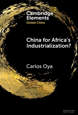 China for Africa's Industrialization? - Carlos Oya