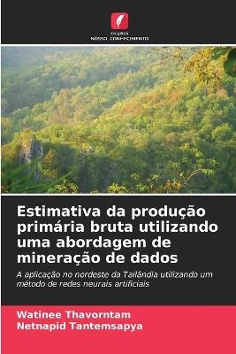 Estimativa da produção primária bruta utilizando uma abordagem de mineração de dados