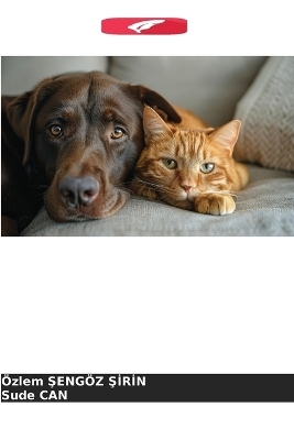 Ultrassonografia oft&aacute;lmica em gatos e c&atilde;es - &Ouml;zlem Şeng&ouml;z Şirin, Sude CAN