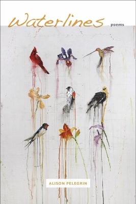 Waterlines - Alison Pelegrin