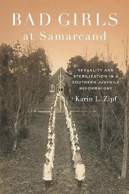 Bad Girls at Samarcand - Karin Lorene Zipf