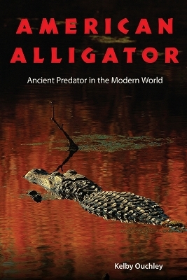 American Alligator - Kelby Ouchley