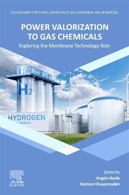 Power Valorization to Gas Chemicals - 