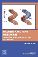 Magnetic Nano- and Microwires - Vázquez, Manuel