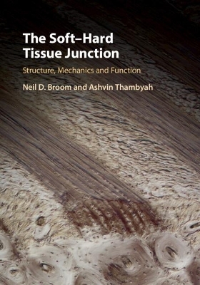 The Soft&ndash;Hard Tissue Junction - Neil D. Broom, Ashvin Thambyah