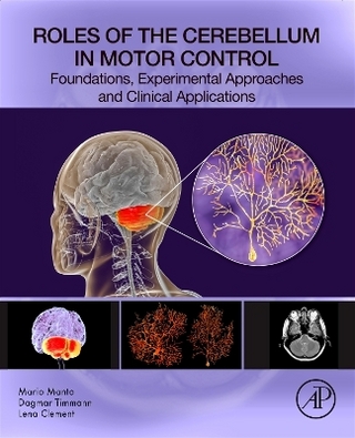 Roles of the Cerebellum in Motor Control