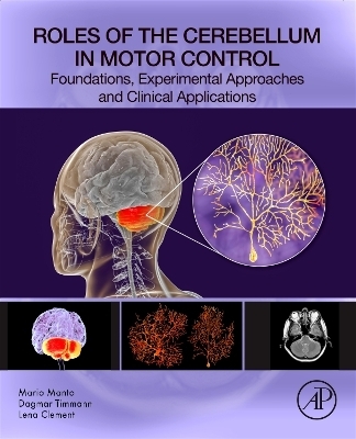Roles of the Cerebellum in Motor Control - 