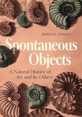 Spontaneous Objects