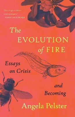 The Evolution of Fire - Angela Pelster