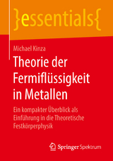 Theorie der Fermifl&uuml;ssigkeit in Metallen - Michael Kinza
