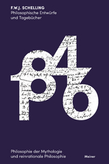 Philosophische Entwürfe und Tagebücher 1846 - Schelling, Friedrich Wilhelm Joseph; Knatz, Lothar; Sandkühler, Hans Jörg; Schraven, Martin