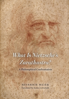 What Is Nietzsche's Zarathustra?