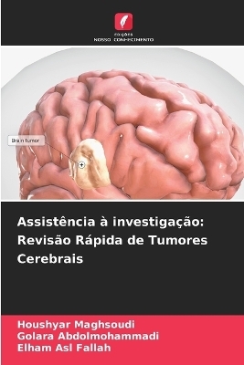 Assistência à investigação