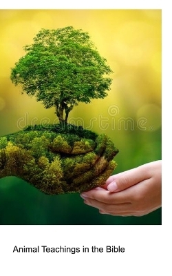 Animal Teachings in The Bible - Paul Sprauve