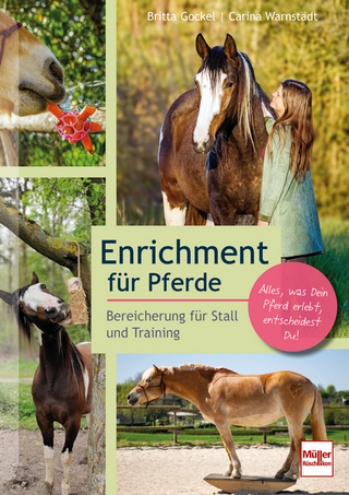Enrichment für Pferde