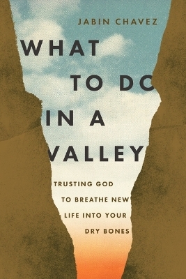 What to Do in a Valley - Jabin Chavez