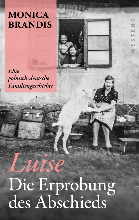 Luise. Die Erprobung des Abschieds - Monica Brandis
