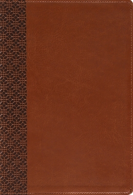 Amplified Holy Bible, Large Print, Leathersoft, Brown