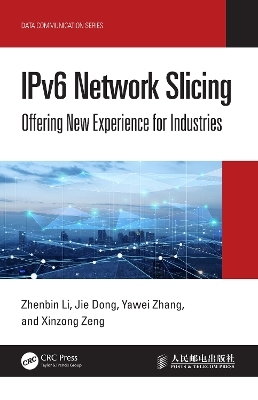 IPv6 Network Slicing