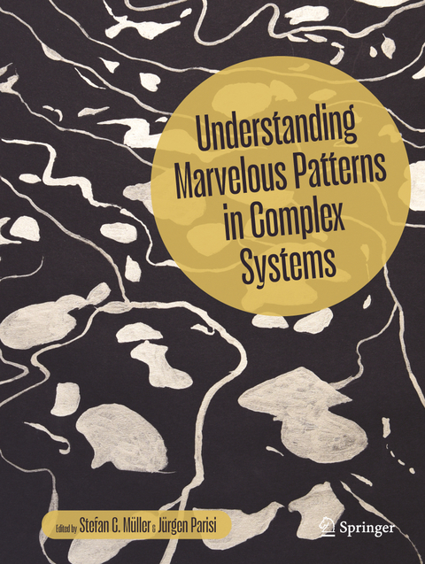 Understanding Marvelous Patterns in Complex Systems - 