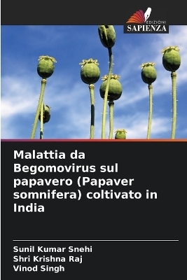 Malattia da Begomovirus sul papavero (Papaver somnifera) coltivato in India