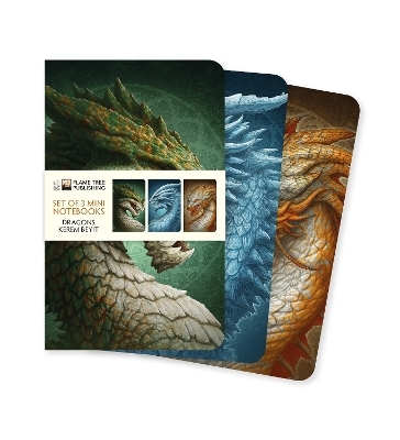 Dragons by Kerem Beyit Set of 3 Mini Notebooks - 