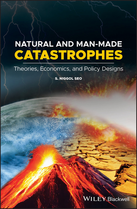 Natural and Man-Made Catastrophes - S. Niggol Seo