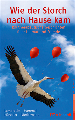 Wie der Storch nach Hause kam