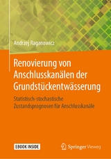 Renovierung von Anschlusskan&auml;len der Grundst&uuml;ckentw&auml;sserung - Andrzej Raganowicz