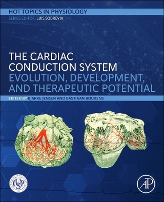The Cardiac Conduction System