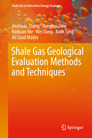 Shale Gas Geological Evaluation Methods and Techniques