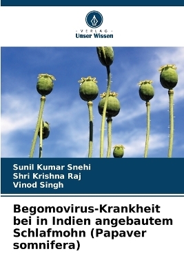 Begomovirus-Krankheit bei in Indien angebautem Schlafmohn (Papaver somnifera) - Sunil Kumar Snehi, Shri Krishna Raj, Vinod Singh