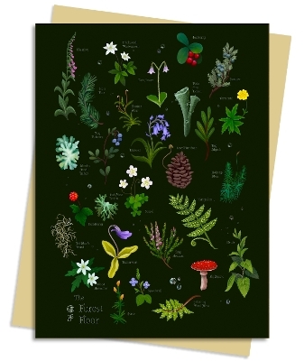 Anna Stead Forest Floor Greeting Card Pack - 