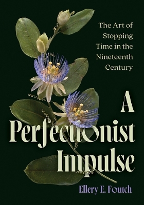 A Perfectionist Impulse - Ellery E. Foutch