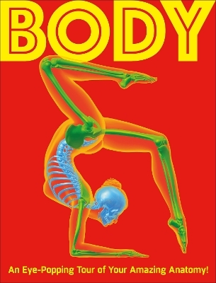 Body -  Dk
